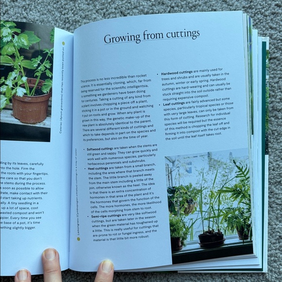 The Modern Gardener - Frances Tophill - hardback NWOT - Picture 4 of 4